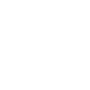 Wealth Management